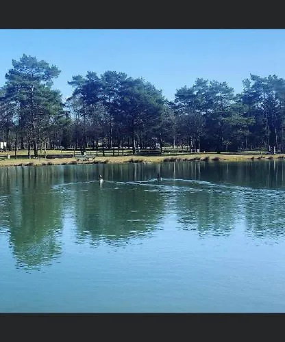 豪华帐篷 Glampingzelt Heide - *